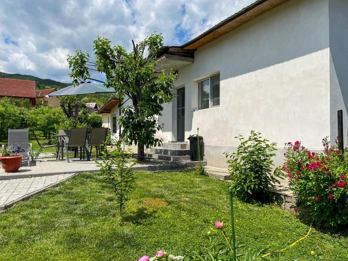 Villa Casuta De Vacanta à Călimăneşti Extérieur photo